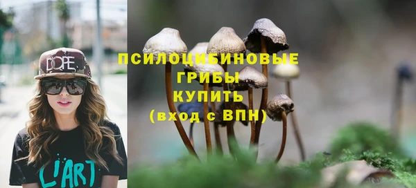 mdpv Нея