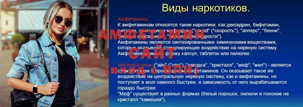 СК Новозыбков