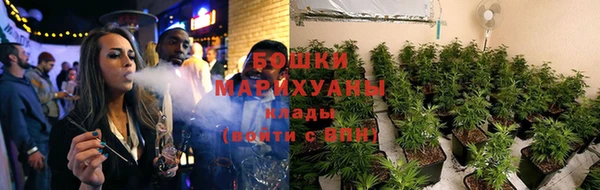 СК Новозыбков