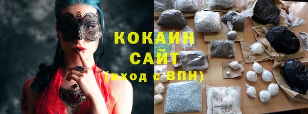 прущие грибы Бронницы