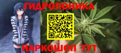 гидропоника Коммунар