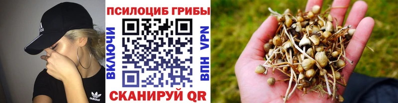 Галлюциногенные грибы Cubensis  Чебоксары 