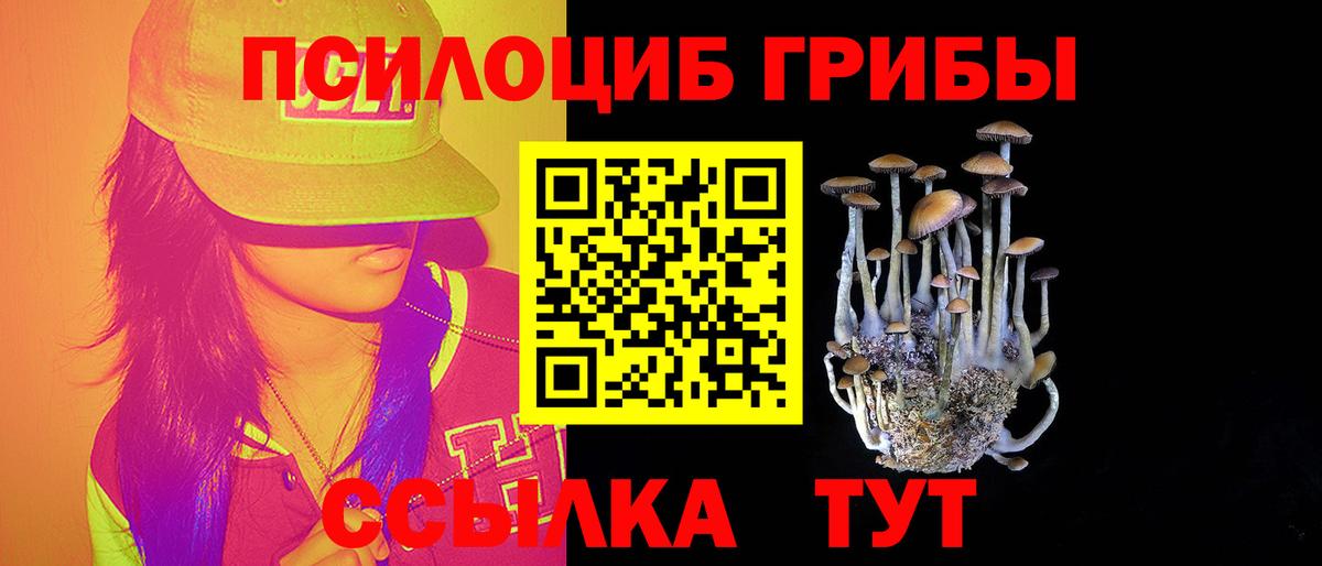 Галлюциногенные грибы Psilocybe Чебоксары